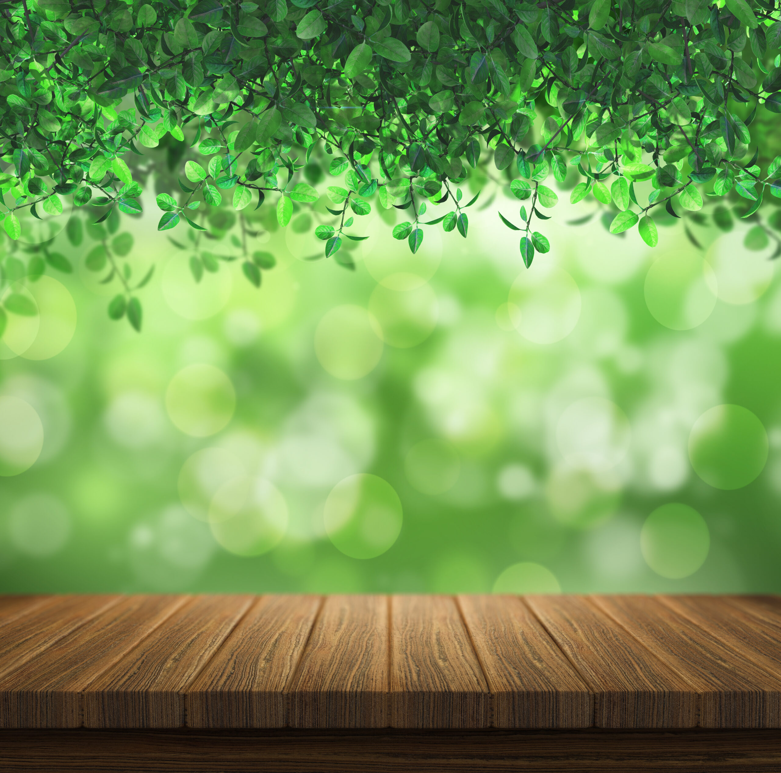 Como construir um Telhado Verde