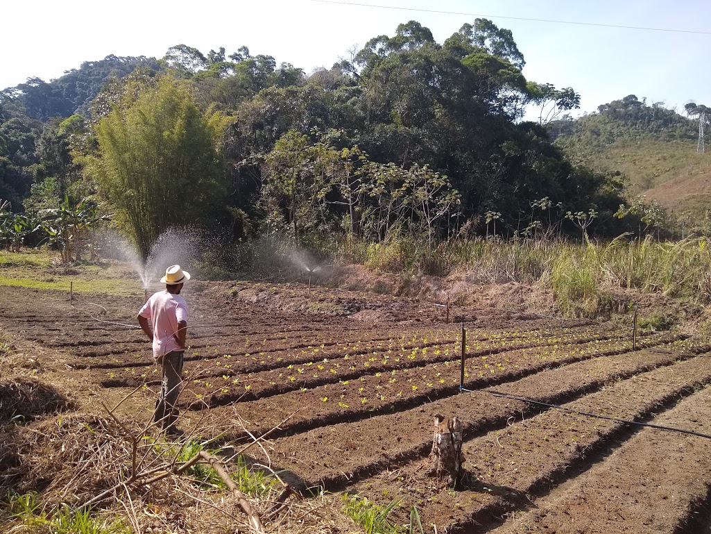 Como Captar, Tratar e Utilizar Água de Chuva: Guia Prático para Residências